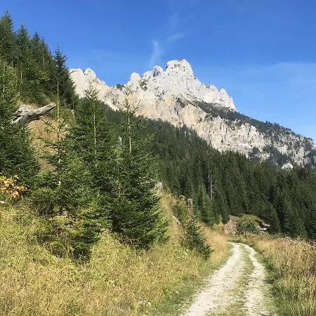 Alpsteig Chalet Schattwald